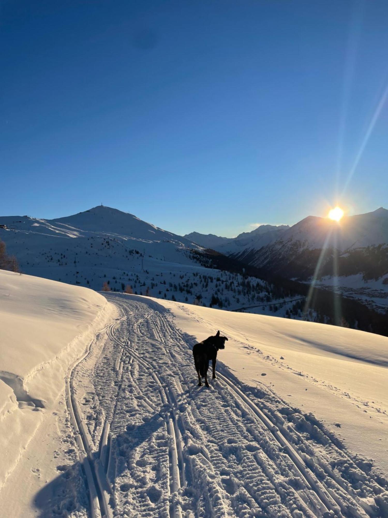 Residence S Lucia - Appartamenti Alle Porte Di Bormio Valdisotto Exteriér fotografie